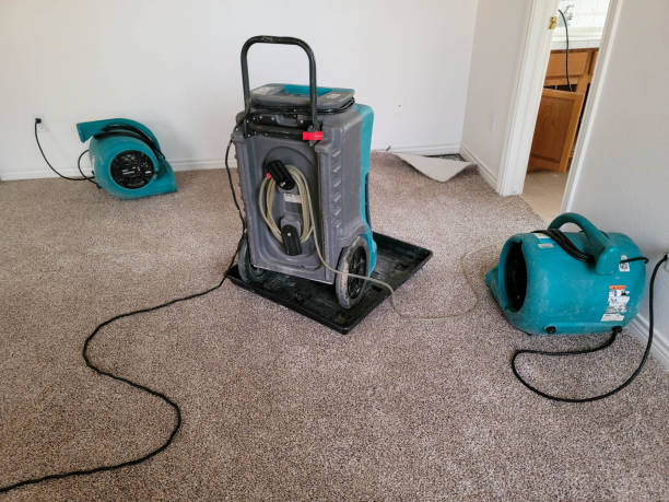Best Ceiling water damage repair  in Atmore, AL