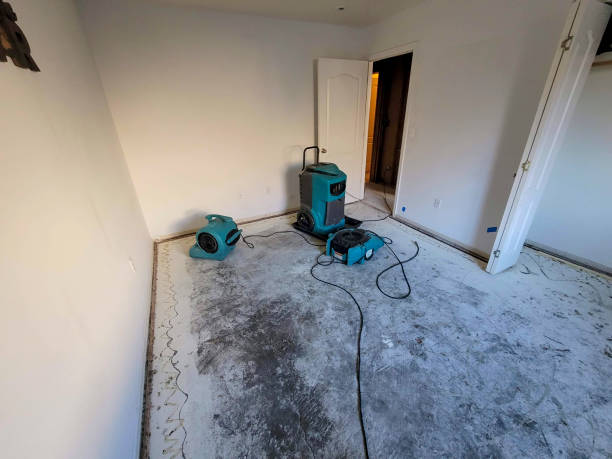 Best Carpet water damage restoration  in Atmore, AL