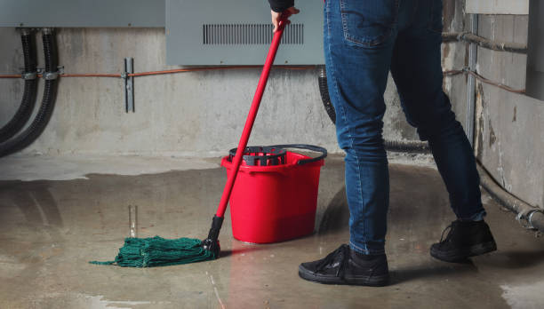 Best Mold removal after water damage  in Atmore, AL