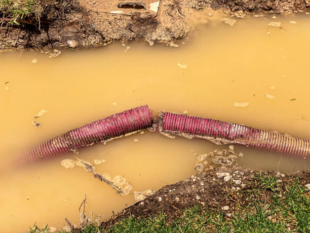 Best Water damage restoration near me  in Atmore, AL
